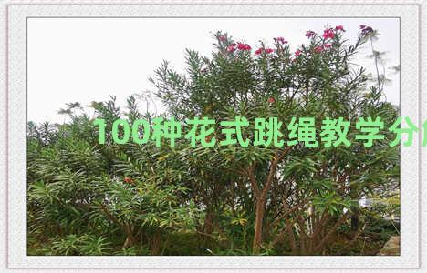 100种花式跳绳教学分解