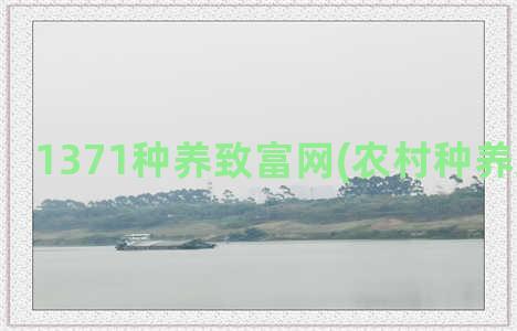 1371种养致富网(农村种养致富项目)