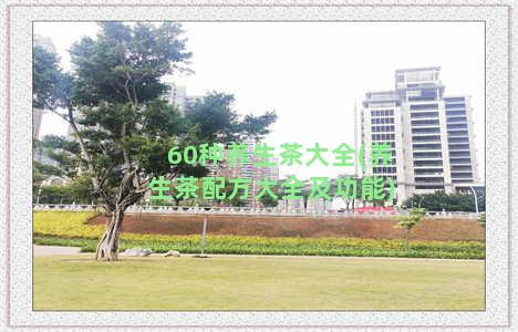 60种养生茶大全(养生茶配方大全及功能)