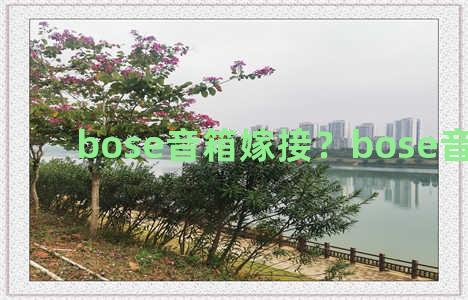 bose音箱嫁接？bose音箱接线