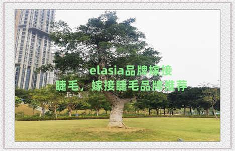 elasia品牌嫁接睫毛，嫁接睫毛品牌推荐