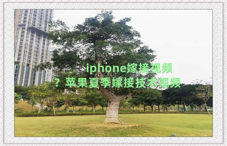 iphone嫁接视频？苹果夏季嫁接技术视频