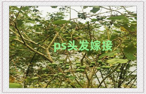 ps头发嫁接