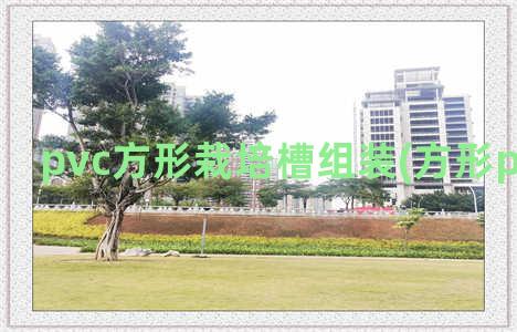 pvc方形栽培槽组装(方形pvc管规格)