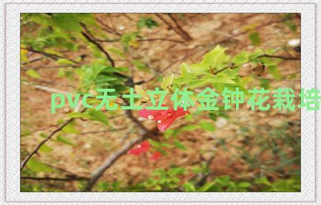 pvc无土立体金钟花栽培季节