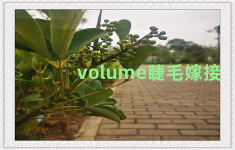 volume睫毛嫁接