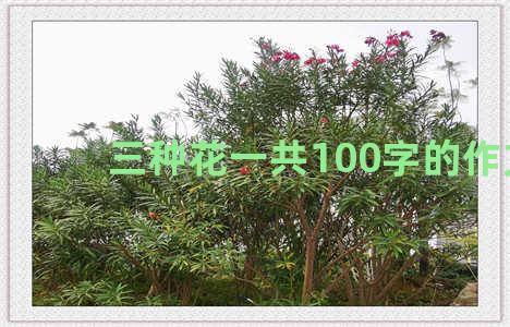 三种花一共100字的作文