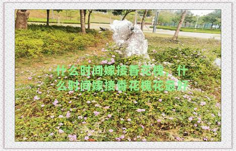 什么时间嫁接香花槐，什么时间嫁接香花槐花最好