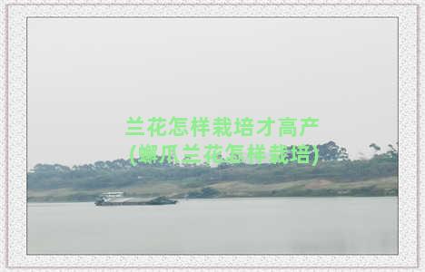 兰花怎样栽培才高产(蠏爪兰花怎样栽培)