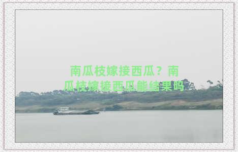 南瓜枝嫁接西瓜？南瓜枝嫁接西瓜能结果吗