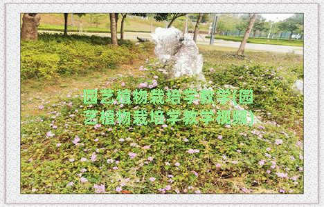 园艺植物栽培学教学(园艺植物栽培学教学视频)