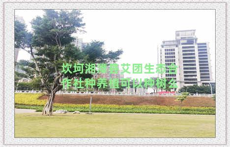 坎坷湘潭县艾团生态合作社种养植可以种树么