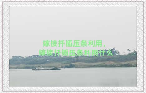 嫁接扦插压条利用，嫁接扦插压条利用什么