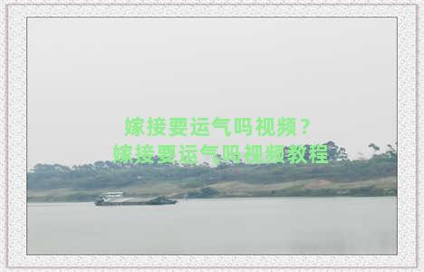 嫁接要运气吗视频？嫁接要运气吗视频教程