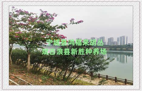 宁城县鸿福来胡丛斌古浪县新胜种养场