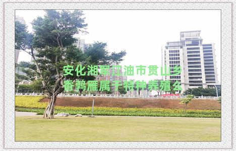 安化湘军江油市贯山乡香鹑雁属于特种养殖么