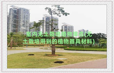 室内无土栽培植物排名(无土栽培用到的植物器具材料)