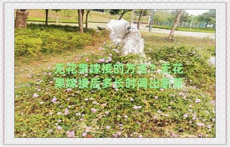 无花果嫁接的方法？无花果嫁接后多长时间出新芽