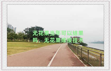 无花果当年可以结果吗，无花果嫁接技术