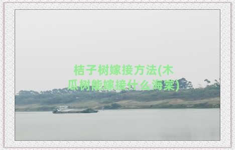 桔子树嫁接方法(木瓜树能嫁接什么海棠)