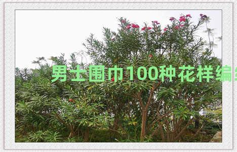 男士围巾100种花样编织