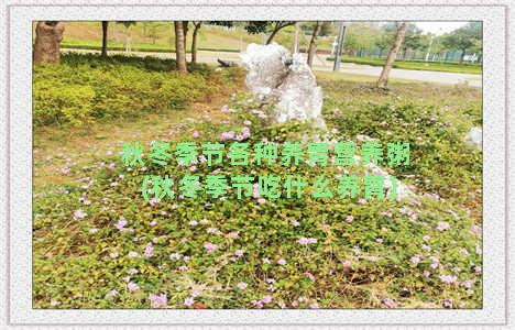 秋冬季节各种养胃营养粥(秋冬季节吃什么养胃)