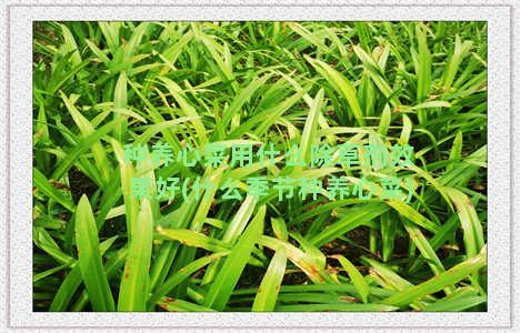 种养心菜用什么除草剂效果好(什么季节种养心菜)