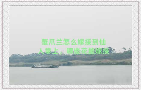 蟹爪兰怎么嫁接到仙人掌上，哪些花能嫁接