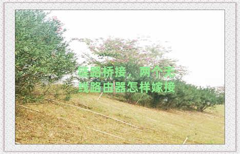 链路桥接，两个无线路由器怎样嫁接