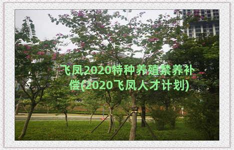 飞凤2020特种养殖禁养补偿(2020飞凤人才计划)